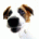 littlenix's Avatar