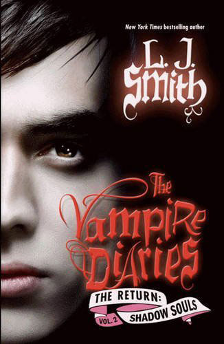 Book TheVampireDiaries6