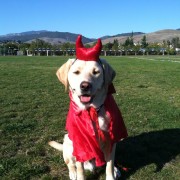 Victor 105 Halloween Devil 2011