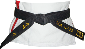 img_blackbelt